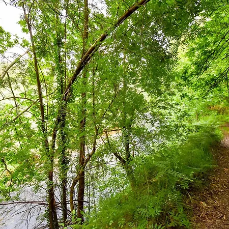 Moinhos Do Paiva Bauernhof *