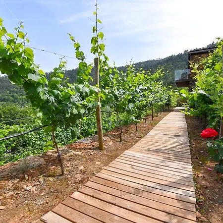 Moinhos Do Paiva Castelo de Paiva