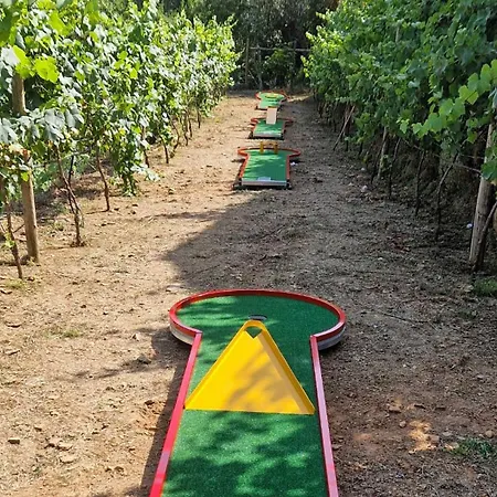 Farm stay Moinhos Do Paiva