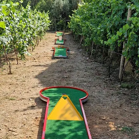 Moinhos Do Paiva Bauernhof Castelo de Paiva