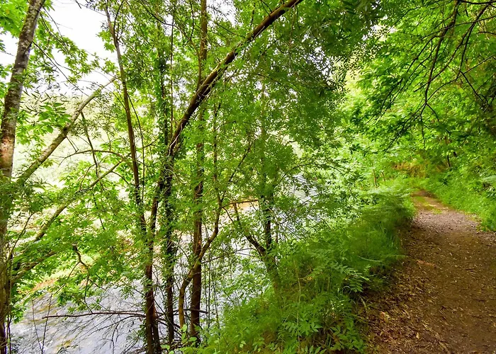 Moinhos Do Paiva Séjour à la ferme *