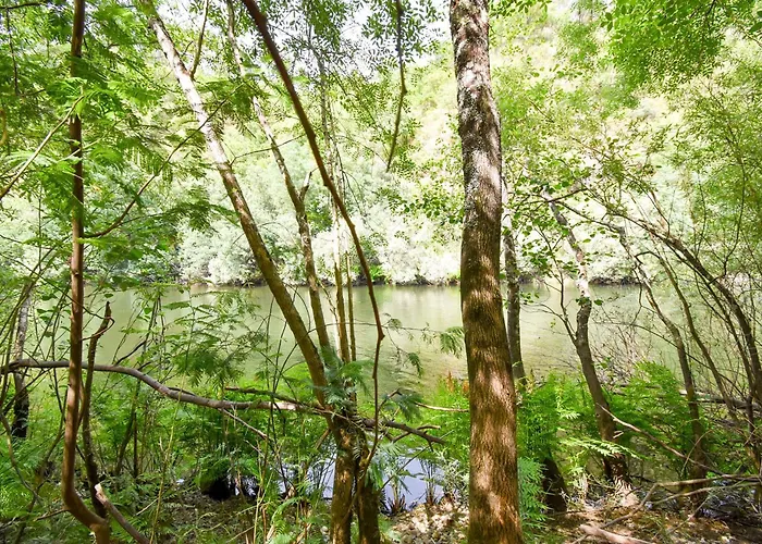 Moinhos Do Paiva Castelo de Paiva