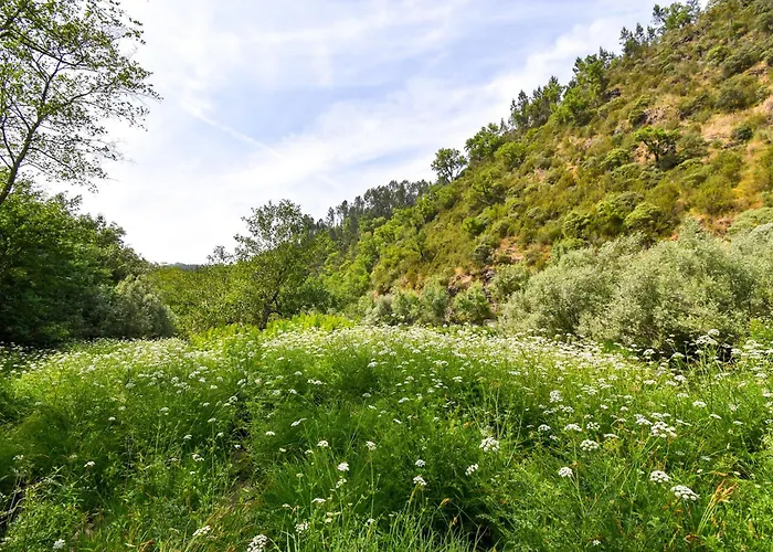 Moinhos Do Paiva * Castelo de Paiva