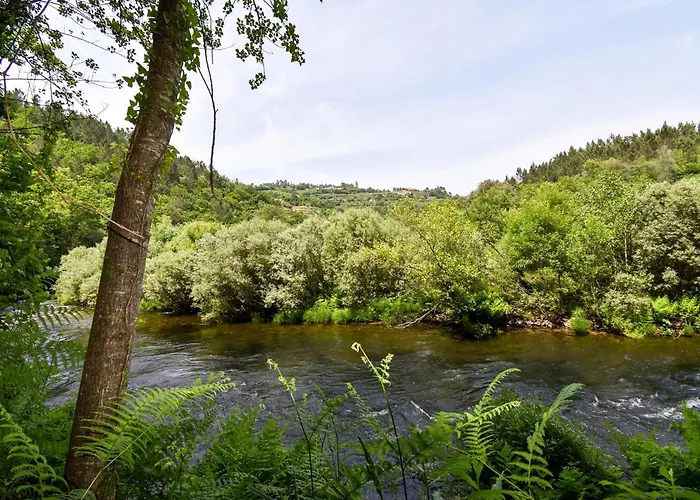 Lantgård Moinhos Do Paiva