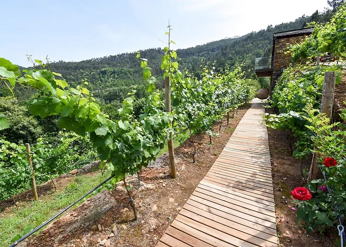 Séjour à la ferme Moinhos Do Paiva Castelo de Paiva