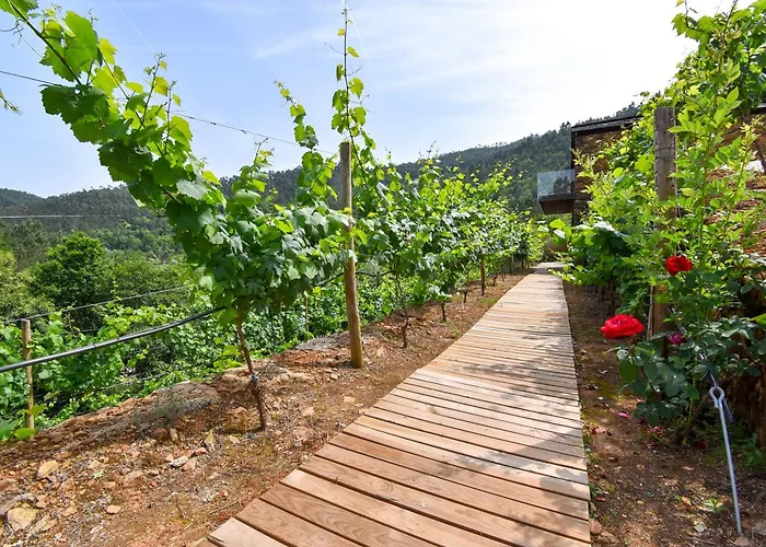 Moinhos Do Paiva Castelo de Paiva