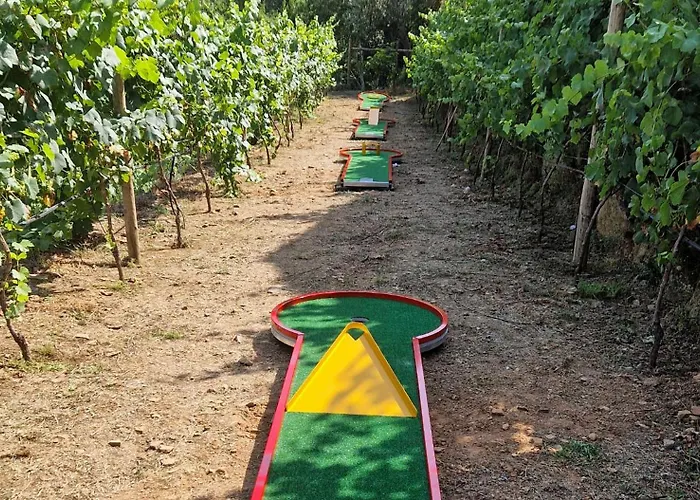 팜스테이 Moinhos Do Paiva