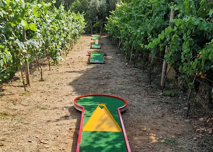 Moinhos Do Paiva 팜스테이 카스텔루 지 파이바